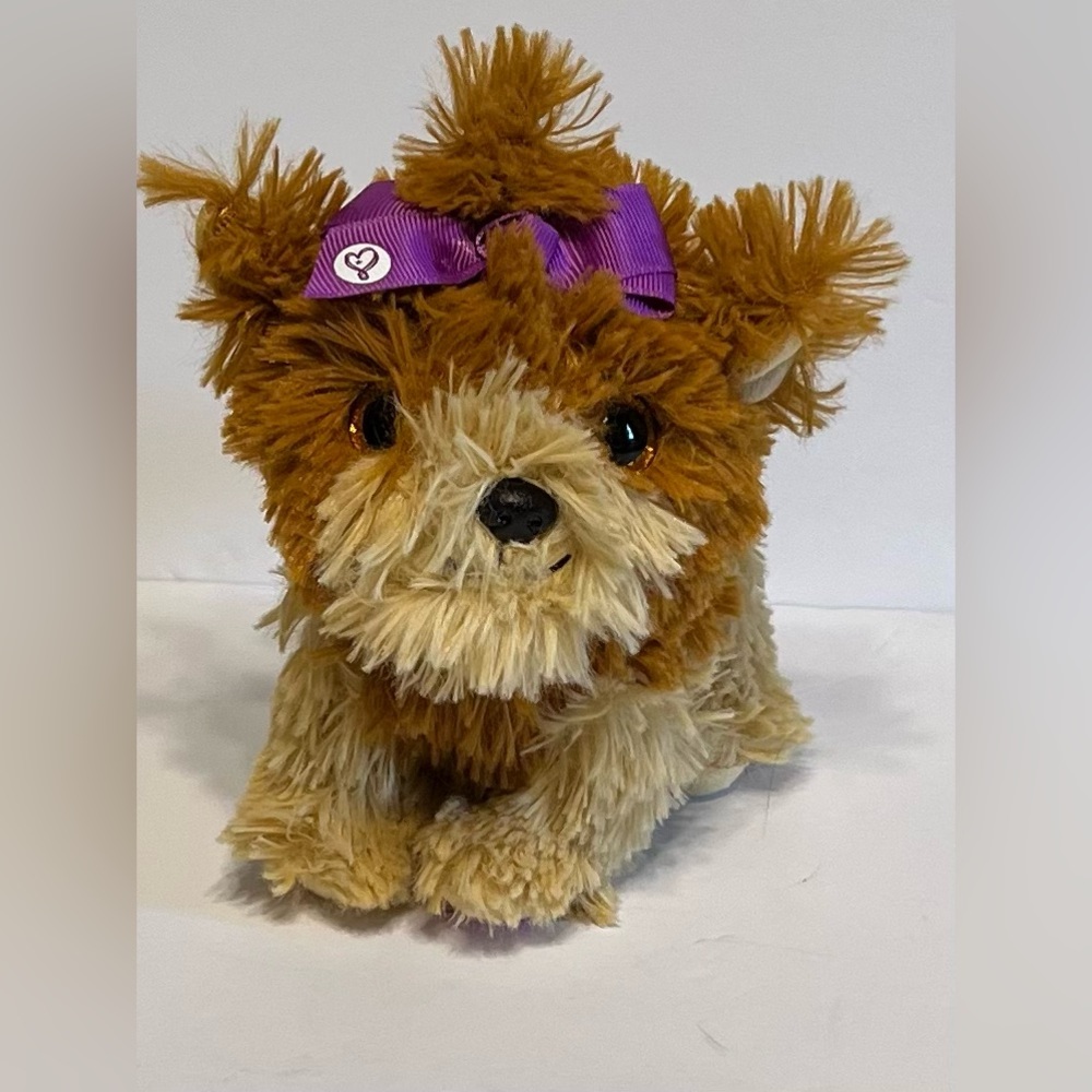 Puppy Dog BowBow Teacup Yorkie Dog